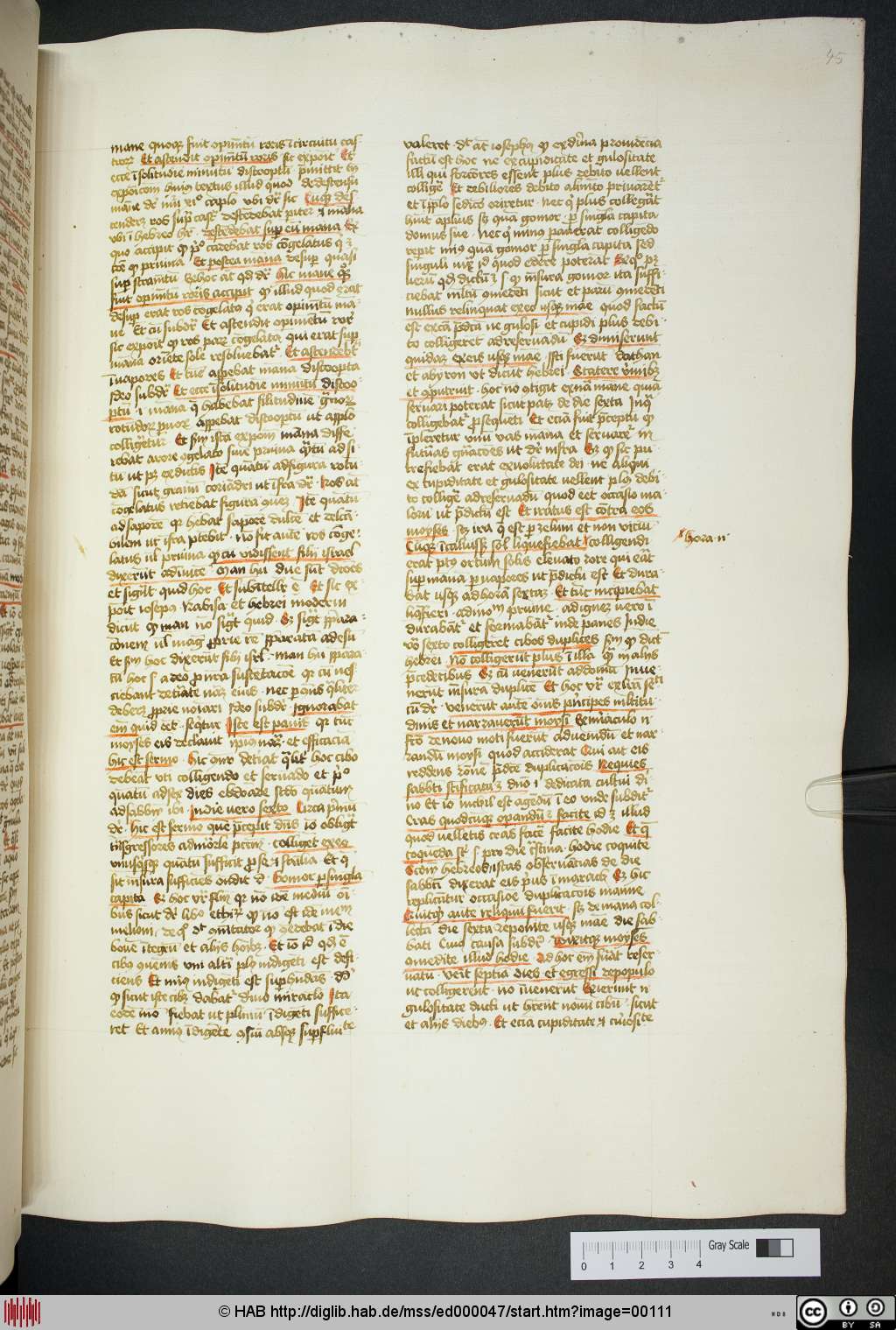 http://diglib.hab.de/mss/ed000047/00111.jpg