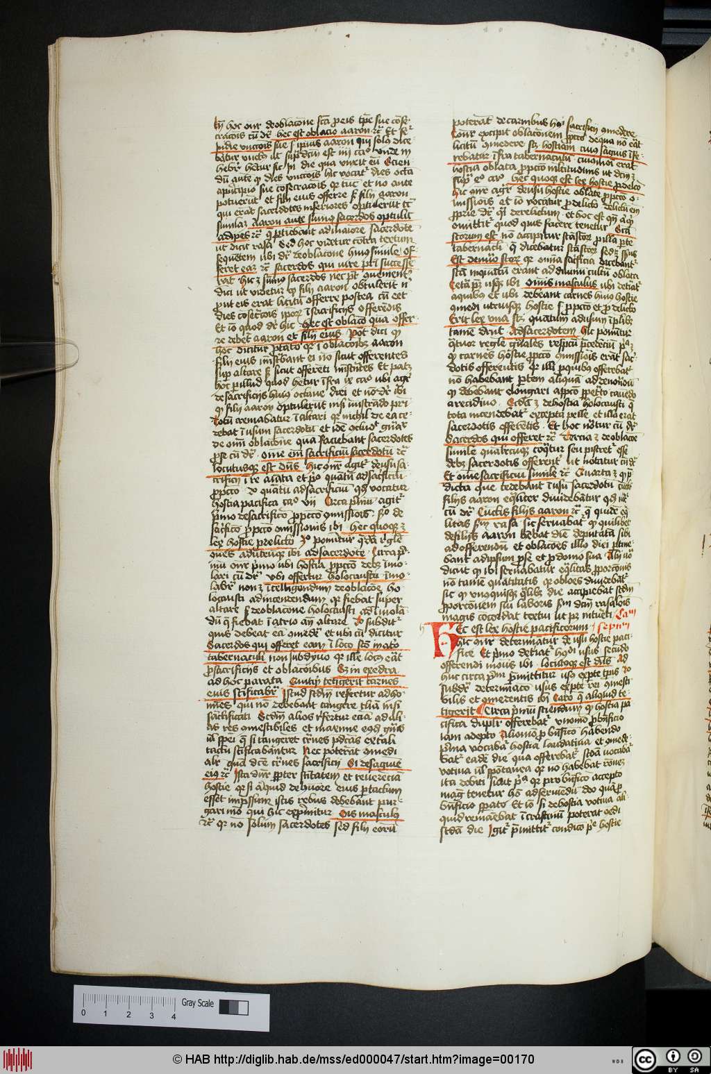 http://diglib.hab.de/mss/ed000047/00170.jpg