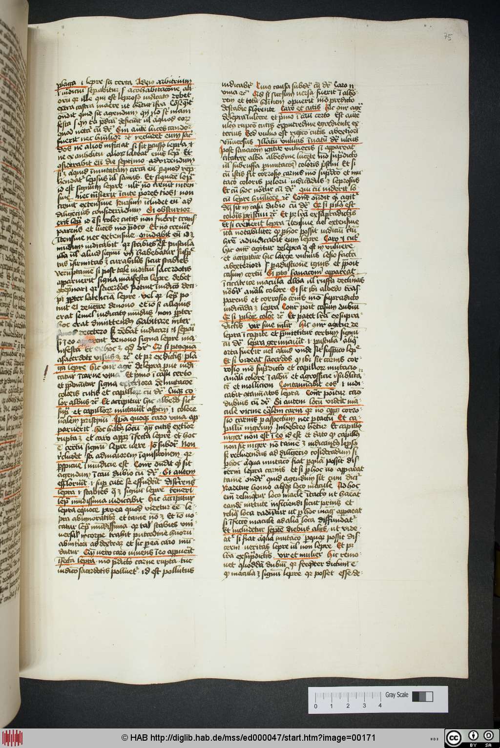 http://diglib.hab.de/mss/ed000047/00171.jpg