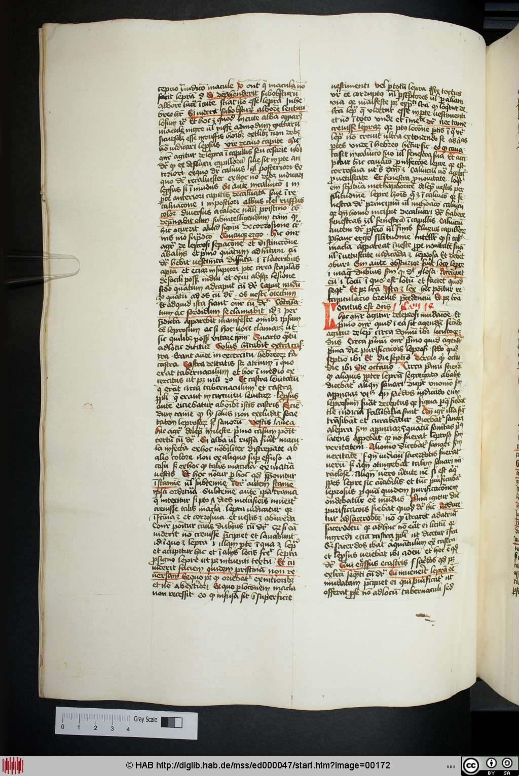 http://diglib.hab.de/mss/ed000047/00172.jpg