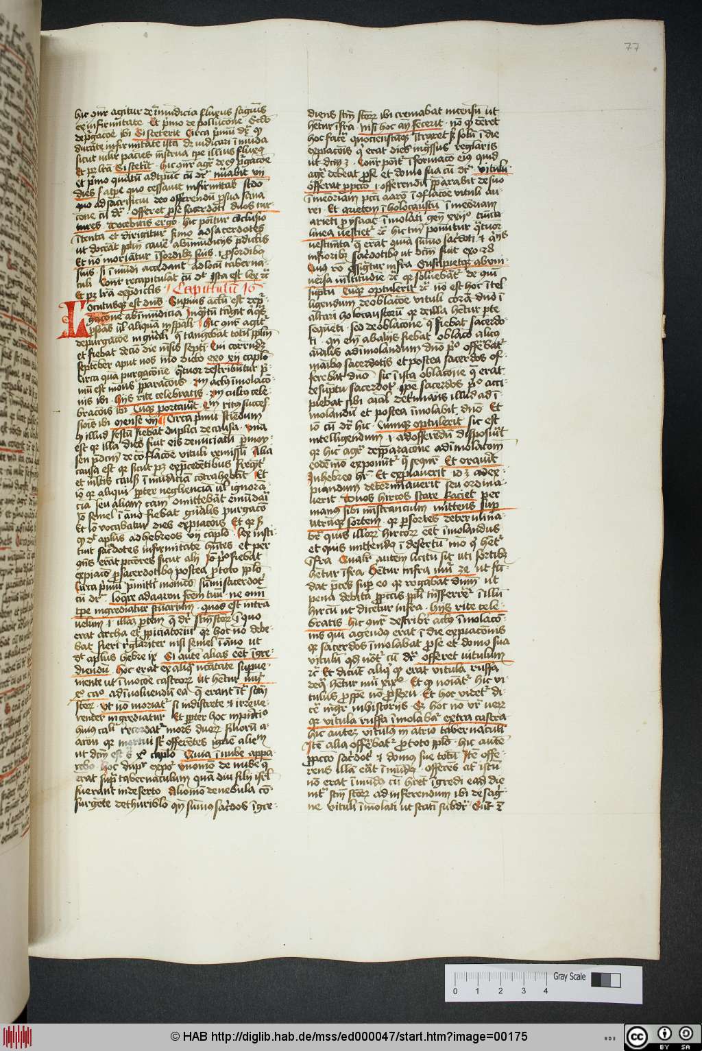 http://diglib.hab.de/mss/ed000047/00175.jpg