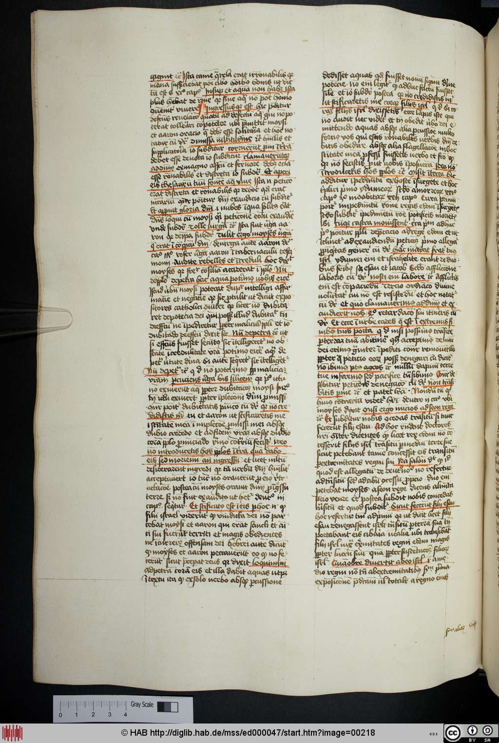 http://diglib.hab.de/mss/ed000047/00218.jpg