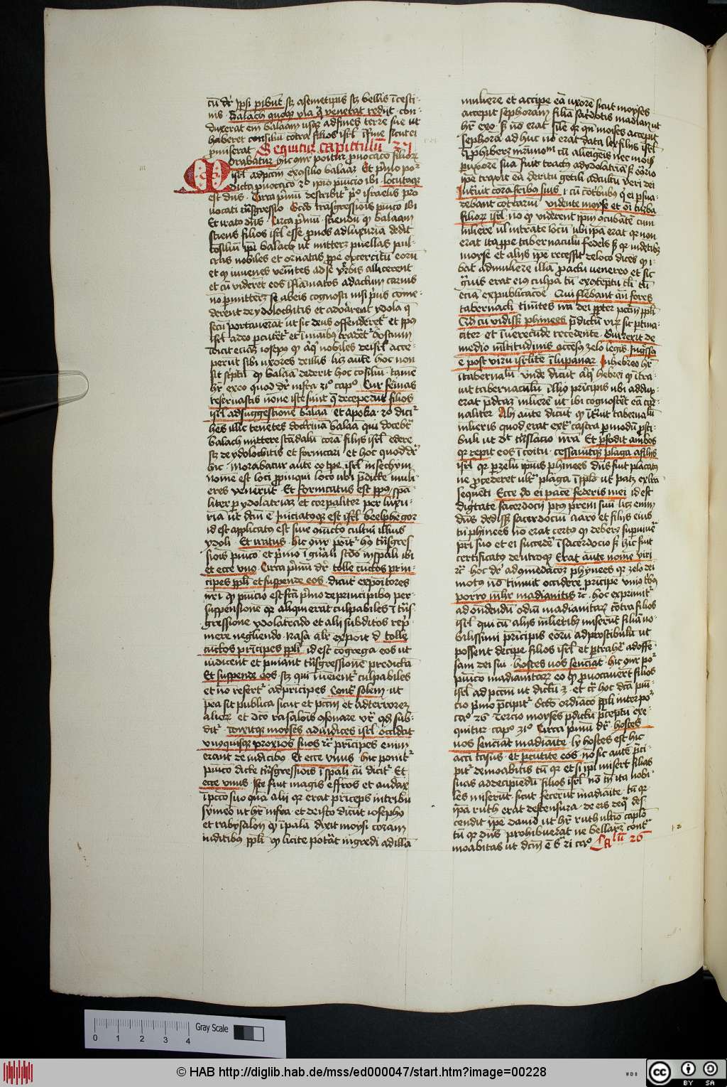 http://diglib.hab.de/mss/ed000047/00228.jpg