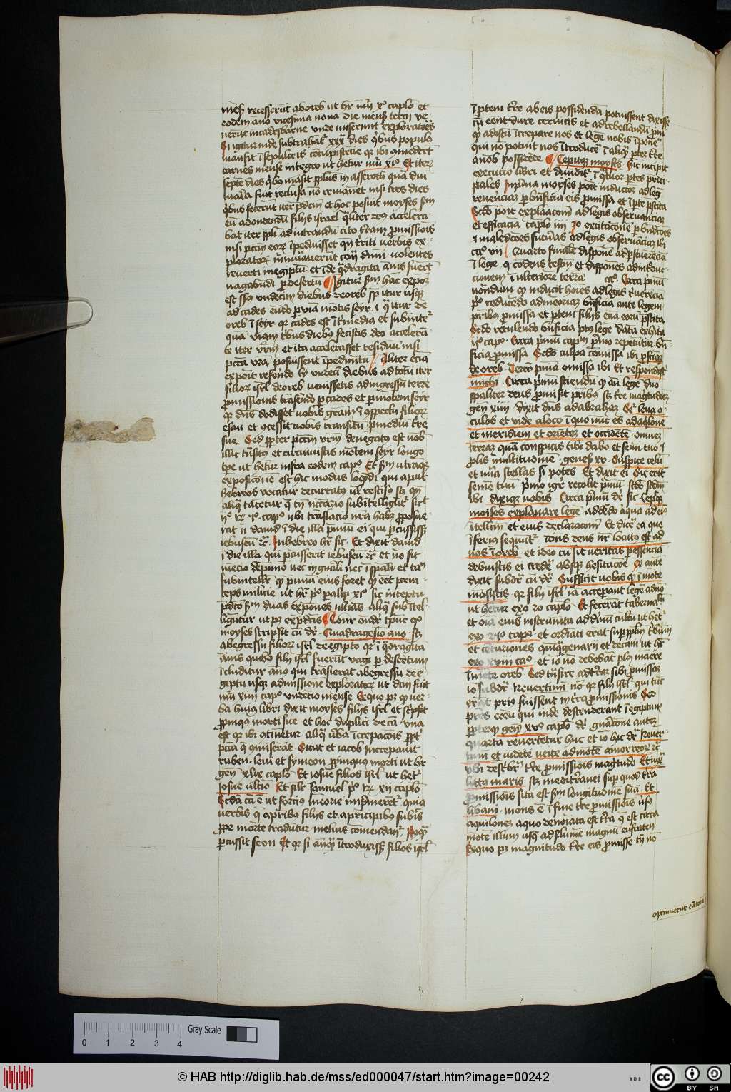 http://diglib.hab.de/mss/ed000047/00242.jpg