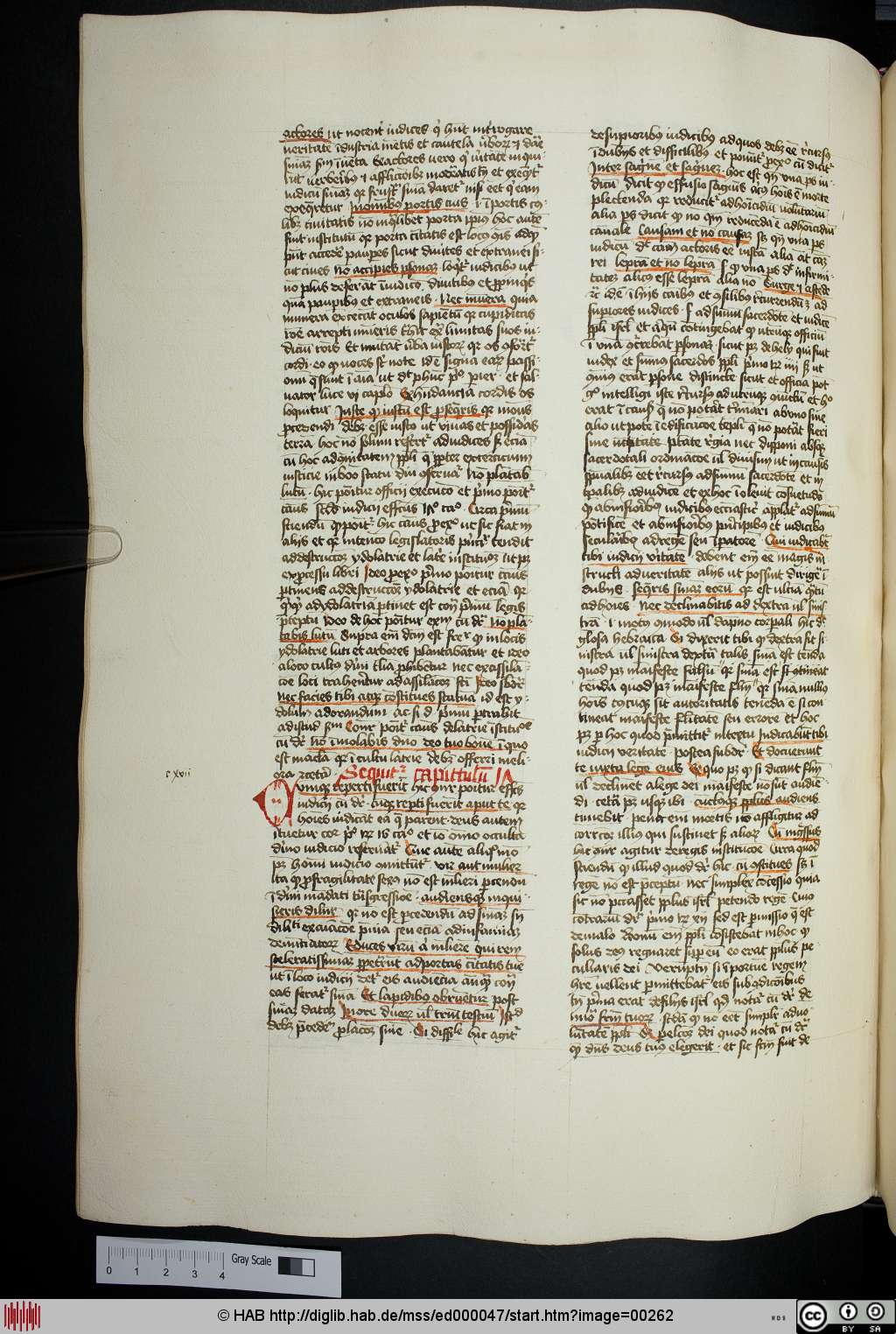 http://diglib.hab.de/mss/ed000047/00262.jpg