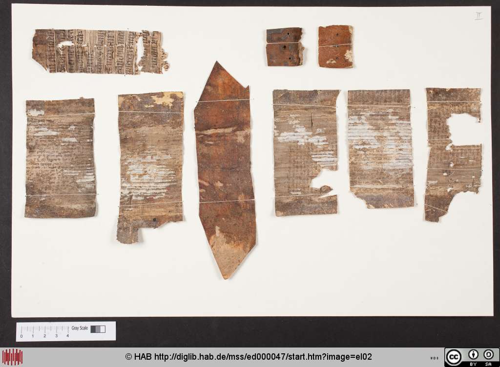 http://diglib.hab.de/mss/ed000047/el02.jpg