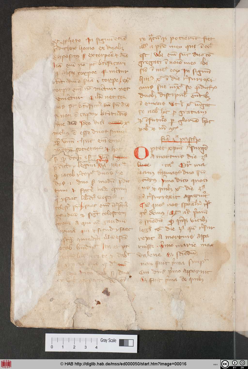 http://diglib.hab.de/mss/ed000050/00016.jpg