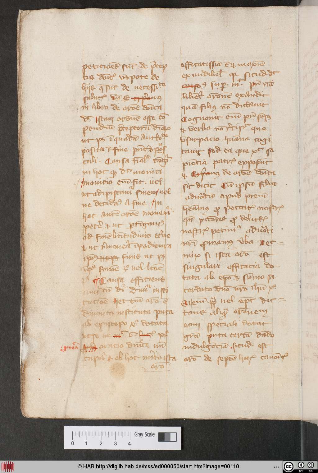 http://diglib.hab.de/mss/ed000050/00110.jpg
