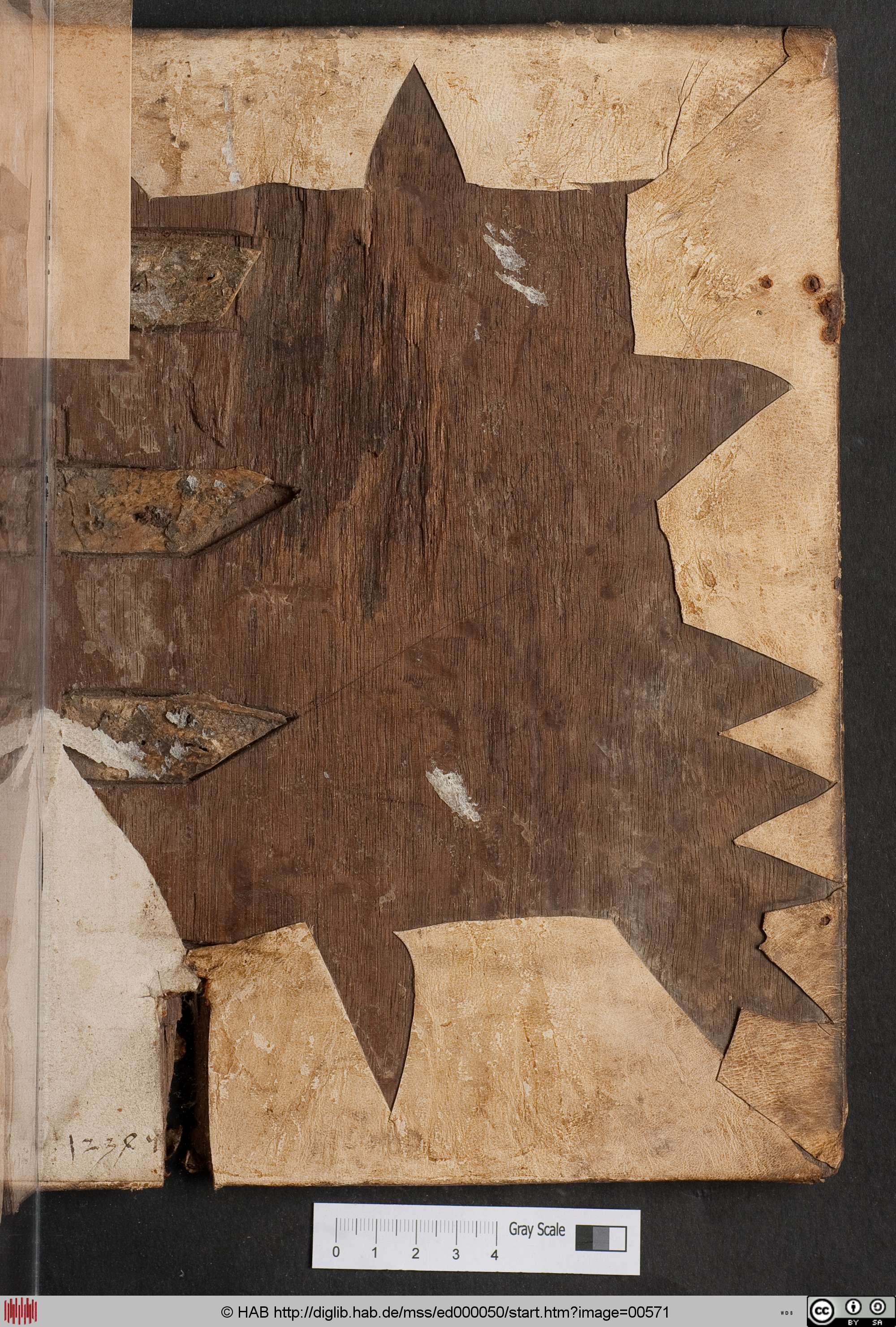 http://diglib.hab.de/mss/ed000050/max/00571.jpg
