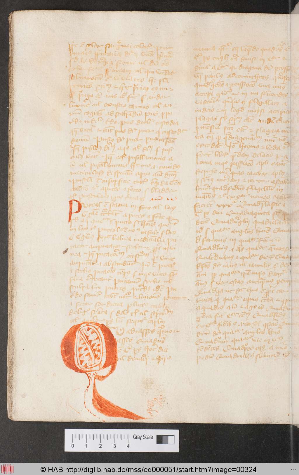 http://diglib.hab.de/mss/ed000051/00324.jpg