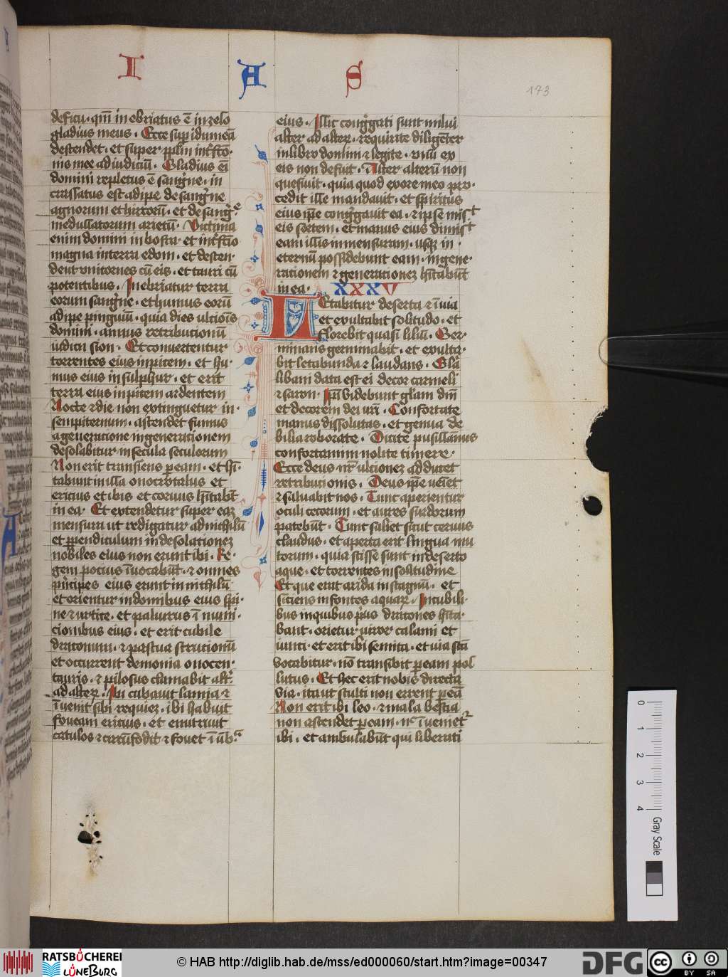 http://diglib.hab.de/mss/ed000060/00347.jpg