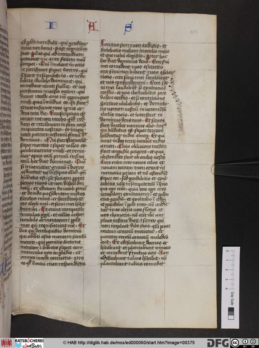 http://diglib.hab.de/mss/ed000060/00375.jpg