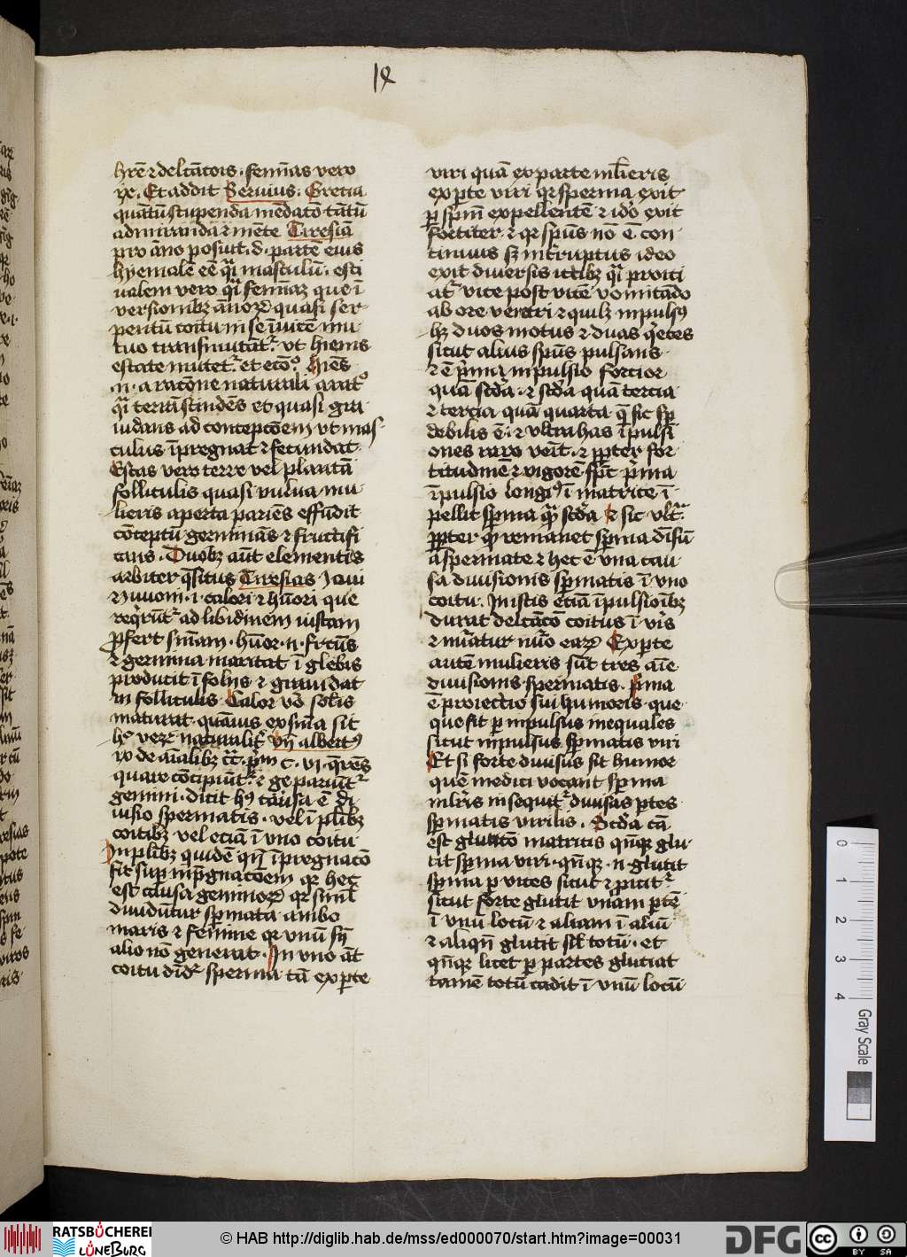 http://diglib.hab.de/mss/ed000070/00031.jpg