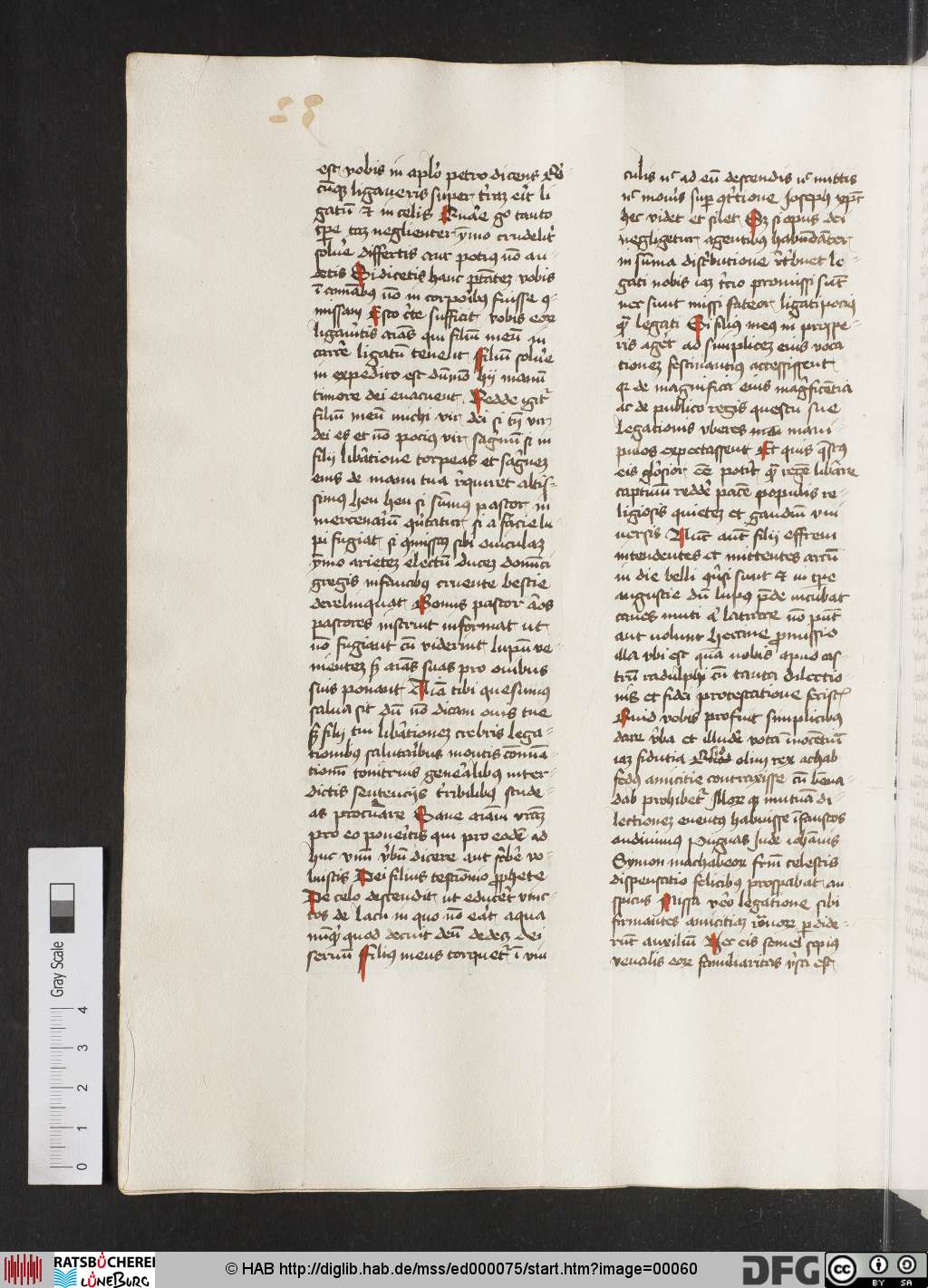 http://diglib.hab.de/mss/ed000075/00060.jpg