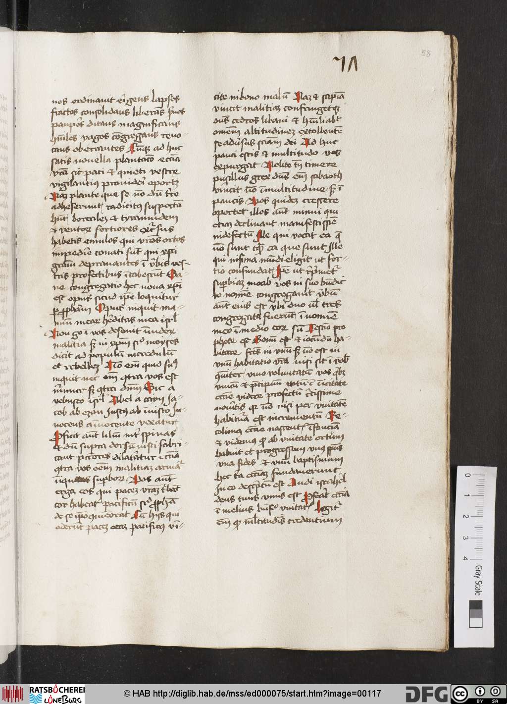 http://diglib.hab.de/mss/ed000075/00117.jpg