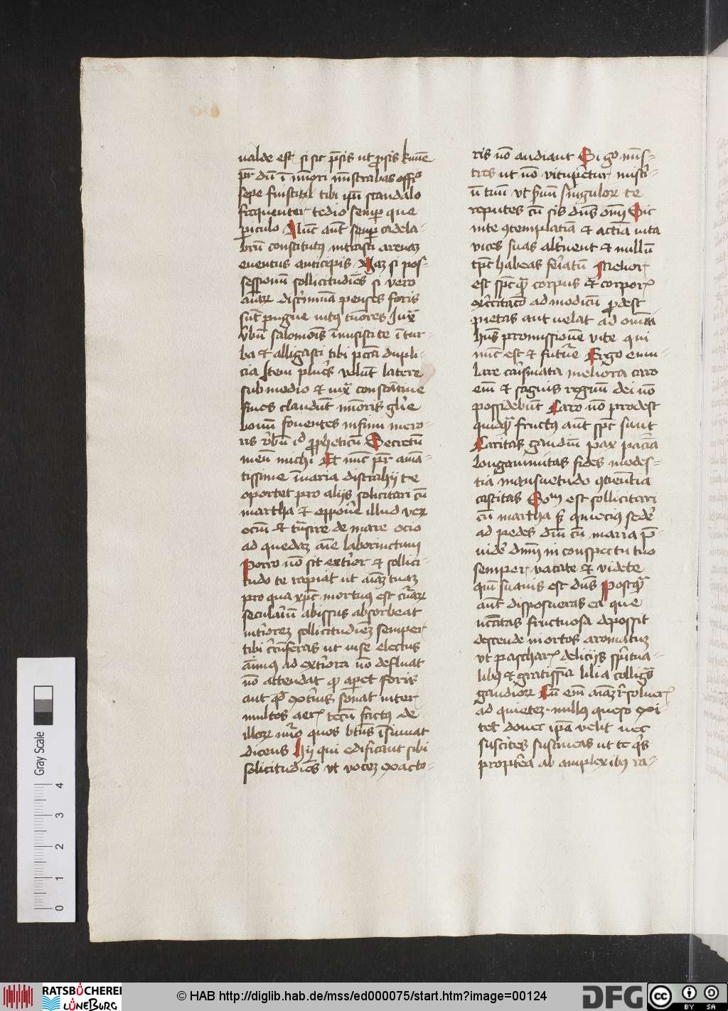 http://diglib.hab.de/mss/ed000075/00124.jpg