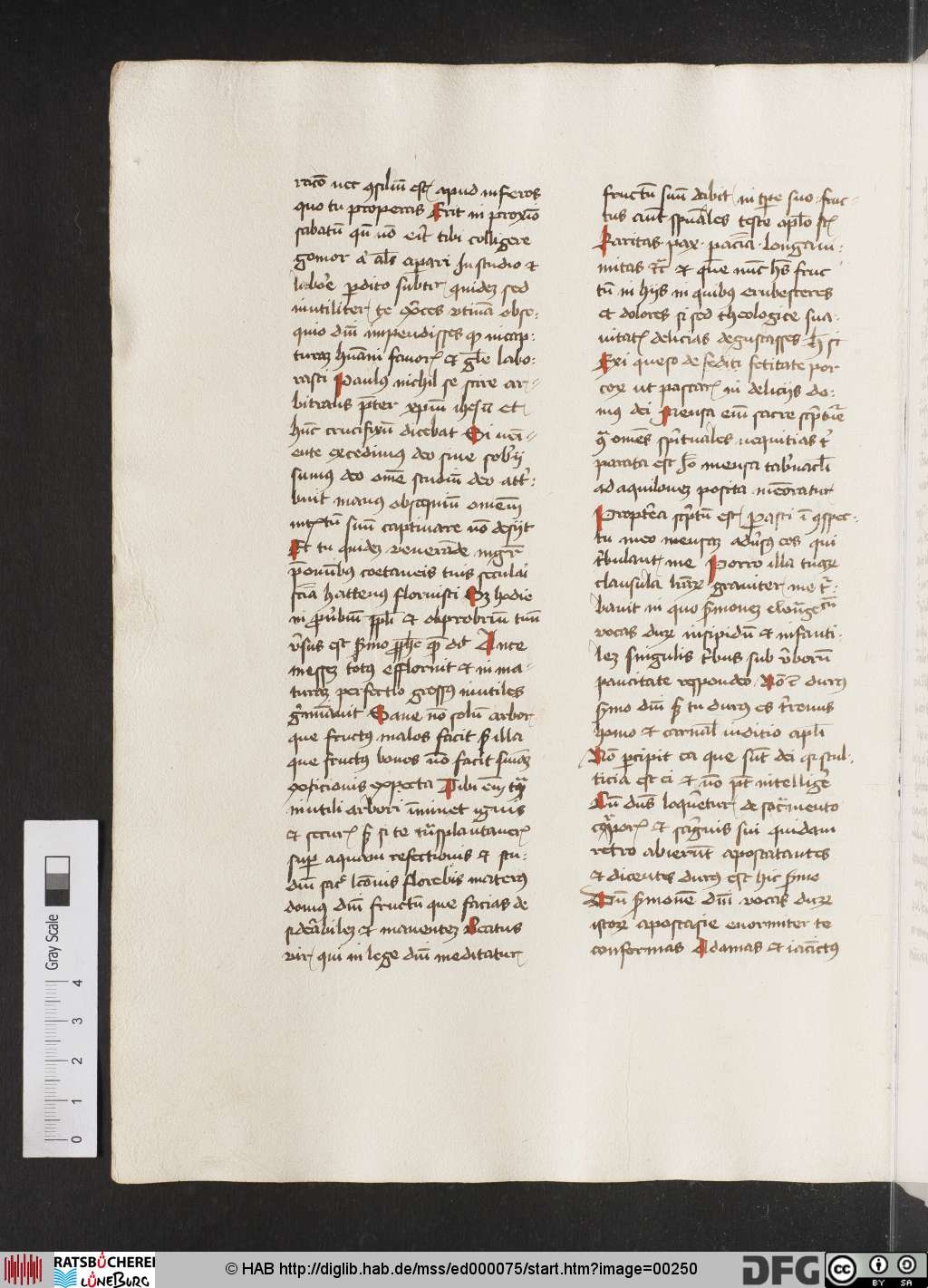 http://diglib.hab.de/mss/ed000075/00250.jpg