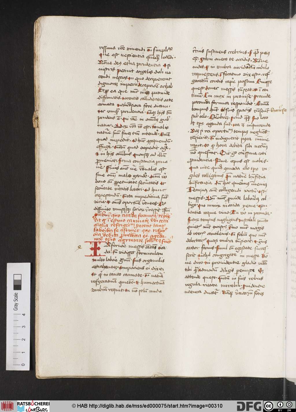 http://diglib.hab.de/mss/ed000075/00310.jpg