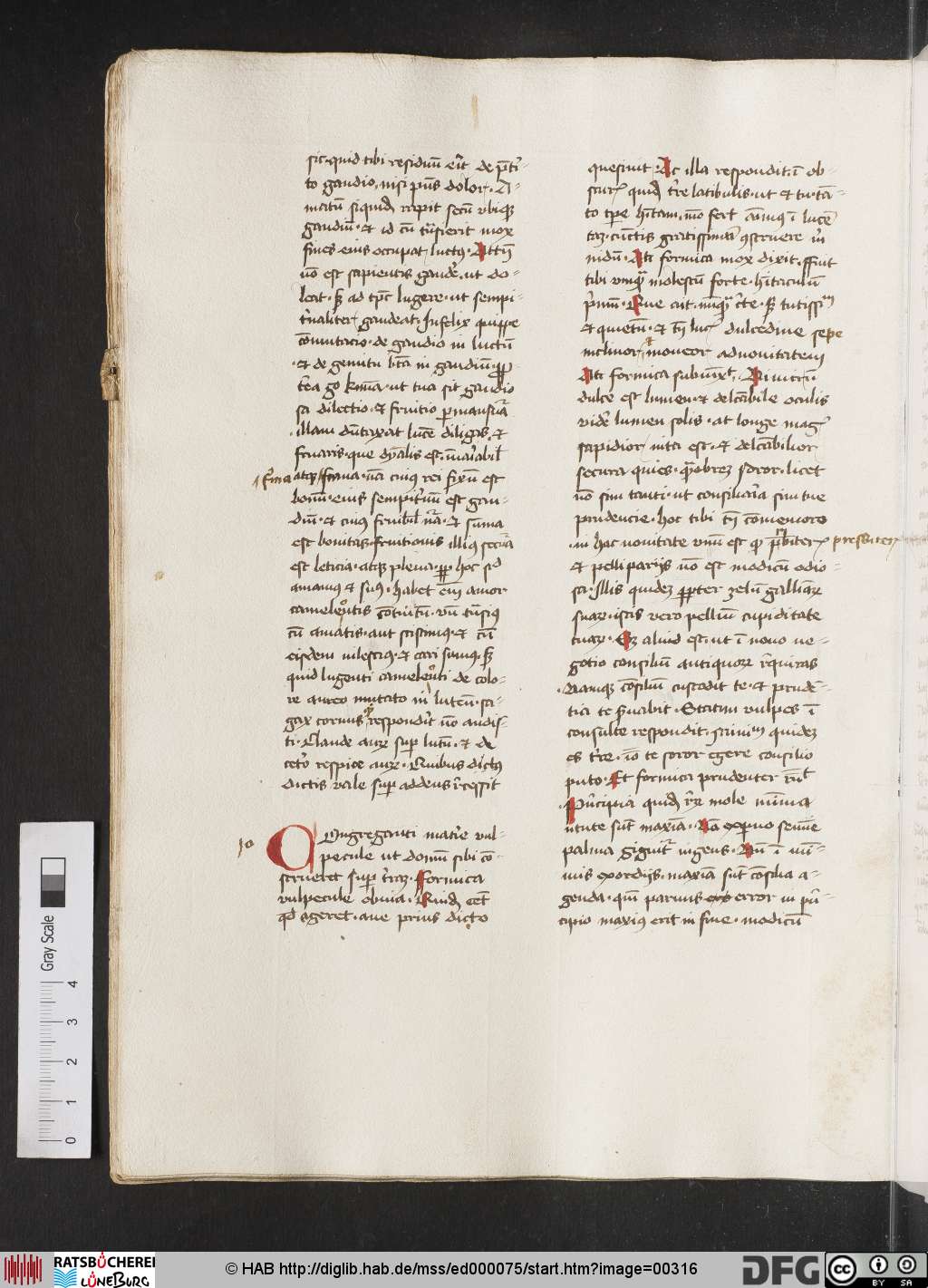 http://diglib.hab.de/mss/ed000075/00316.jpg