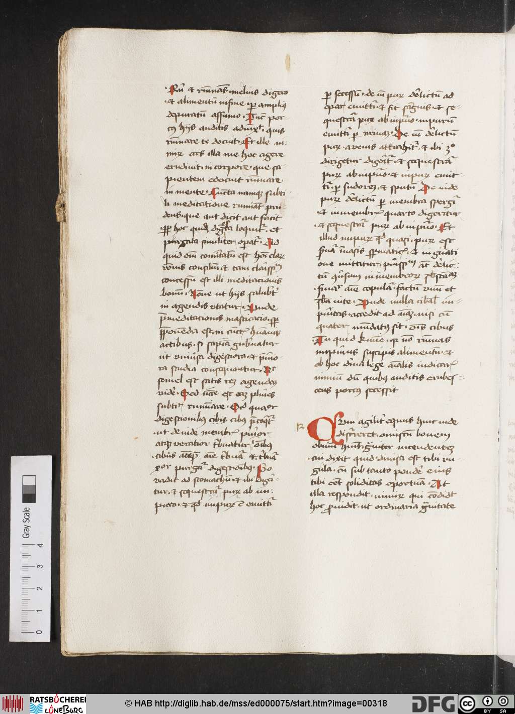 http://diglib.hab.de/mss/ed000075/00318.jpg