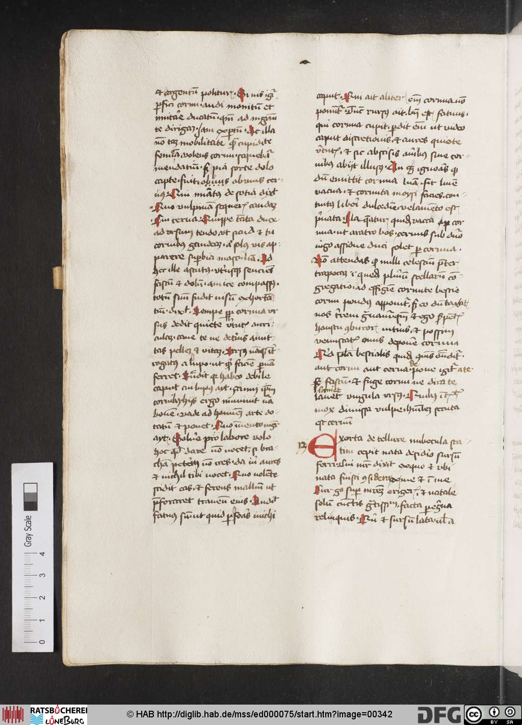 http://diglib.hab.de/mss/ed000075/00342.jpg