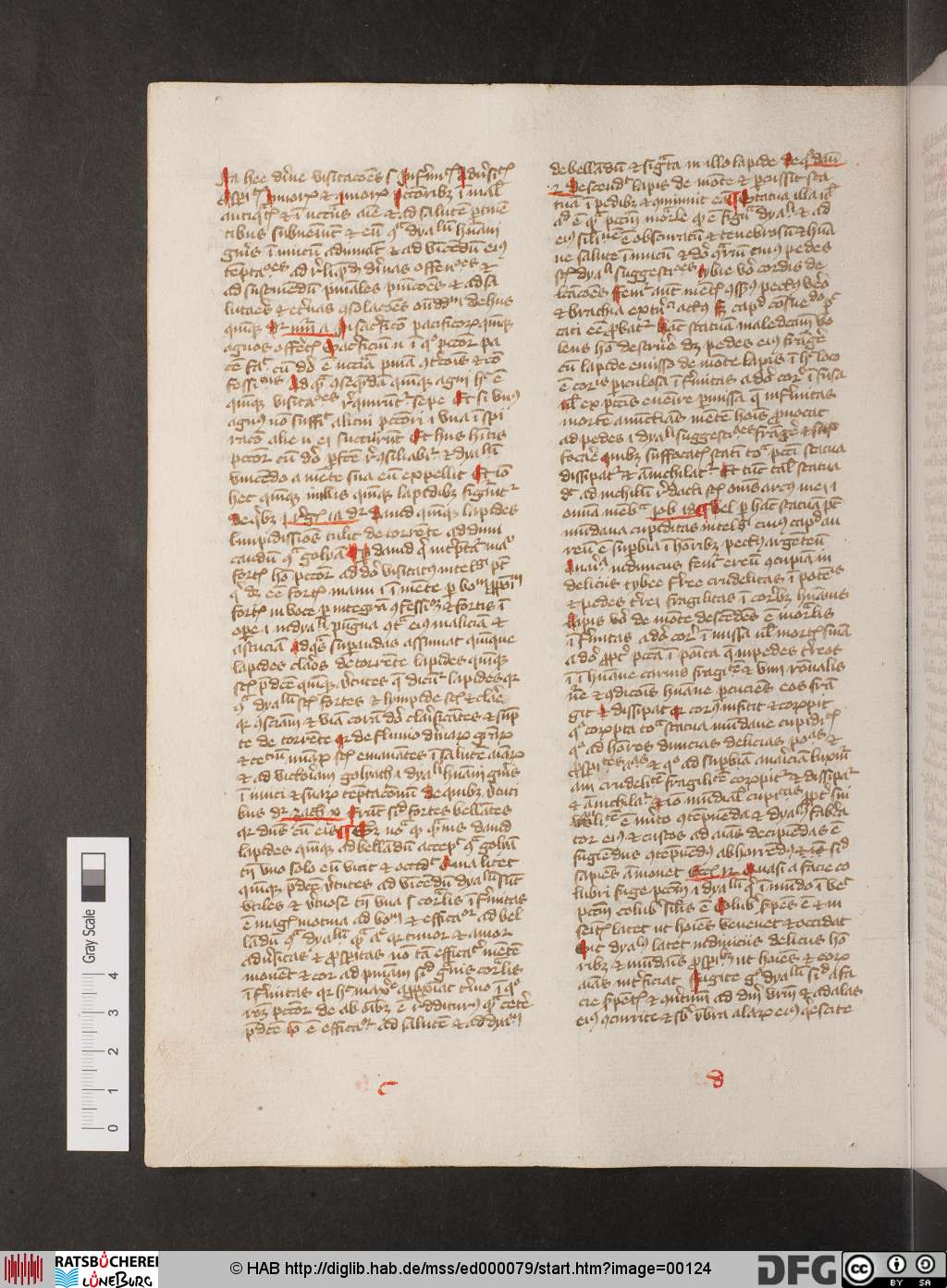 http://diglib.hab.de/mss/ed000079/00124.jpg
