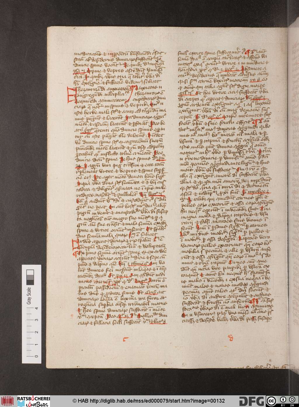 http://diglib.hab.de/mss/ed000079/00132.jpg