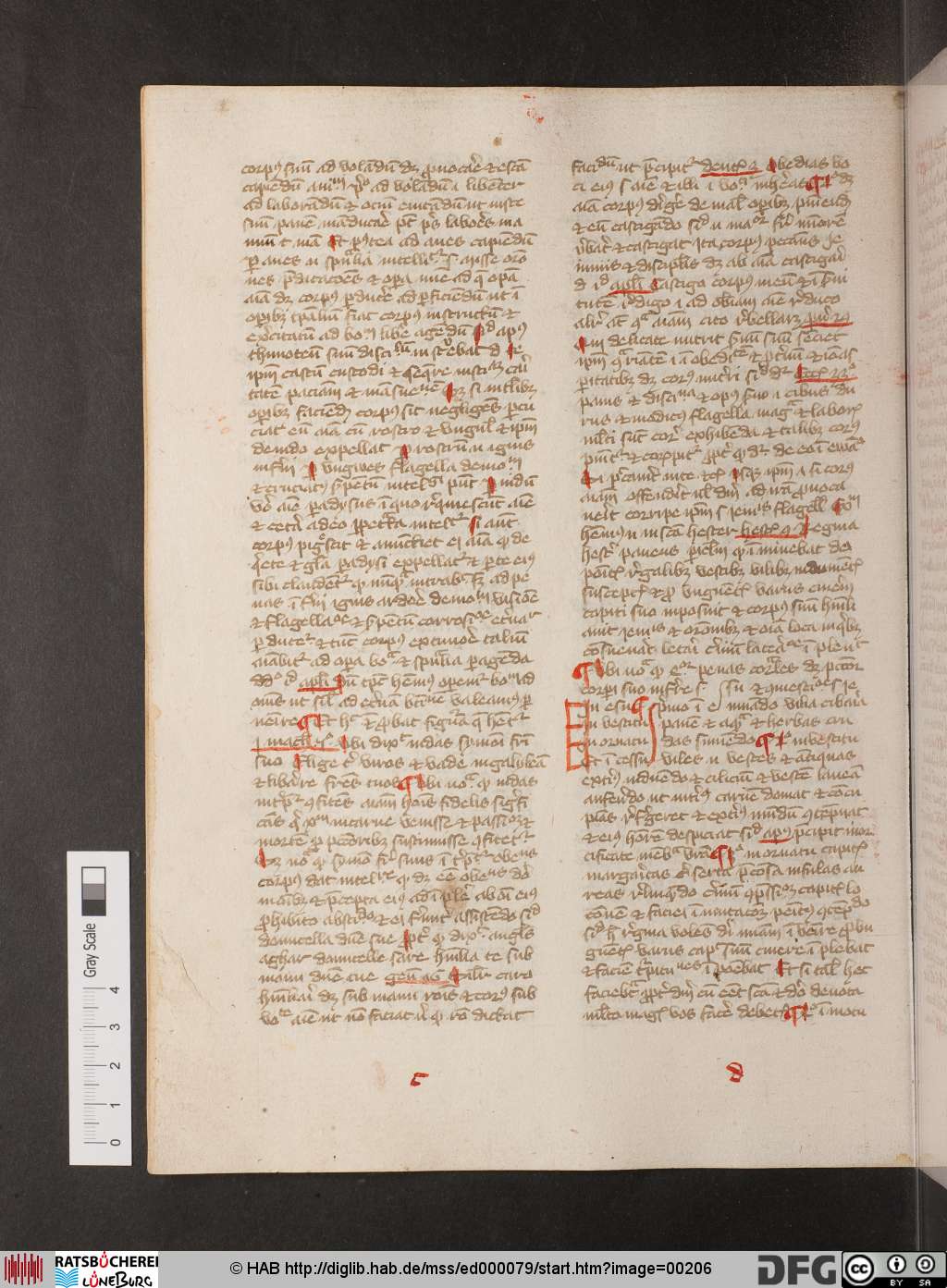 http://diglib.hab.de/mss/ed000079/00206.jpg