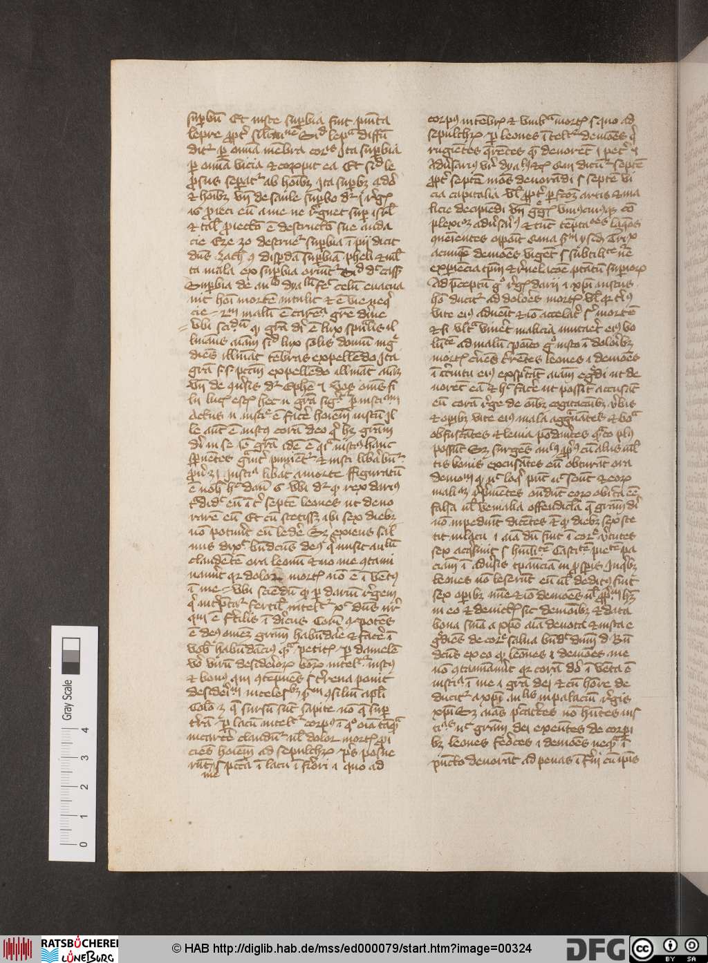 http://diglib.hab.de/mss/ed000079/00324.jpg
