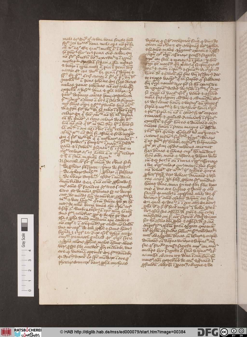 http://diglib.hab.de/mss/ed000079/00384.jpg