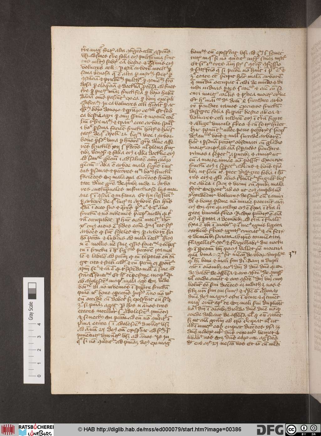 http://diglib.hab.de/mss/ed000079/00386.jpg