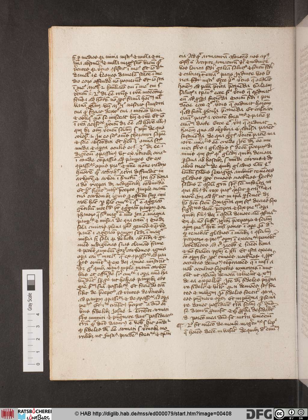 http://diglib.hab.de/mss/ed000079/00408.jpg