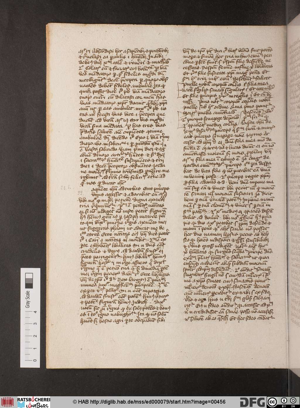 http://diglib.hab.de/mss/ed000079/00456.jpg