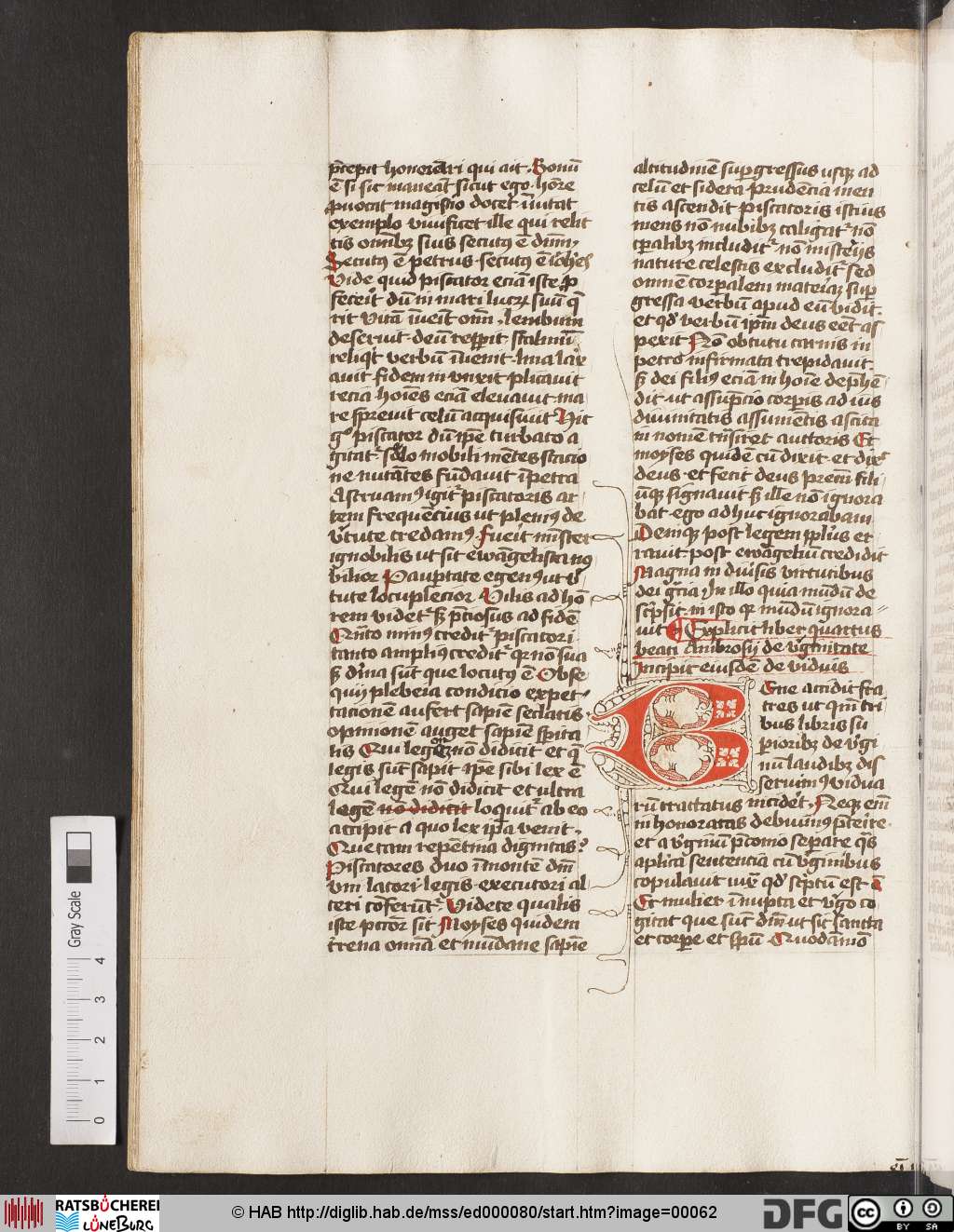 http://diglib.hab.de/mss/ed000080/00062.jpg