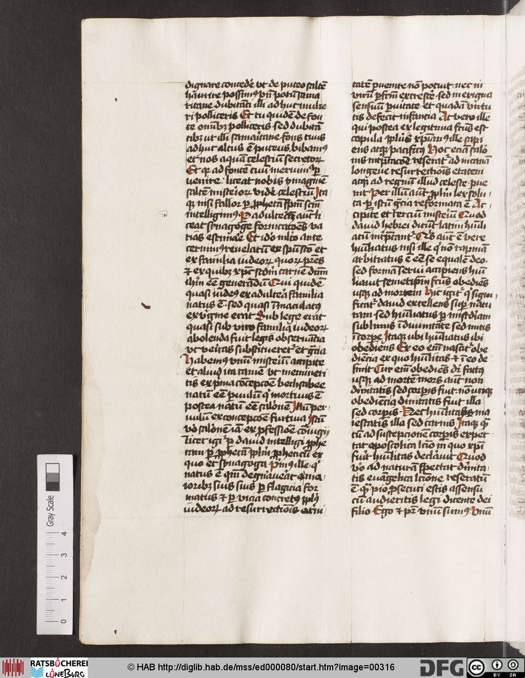 http://diglib.hab.de/mss/ed000080/00316.jpg