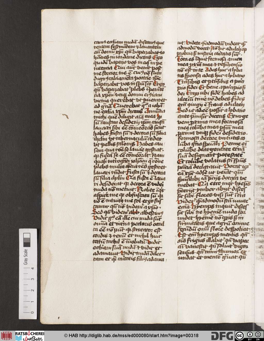 http://diglib.hab.de/mss/ed000080/00318.jpg