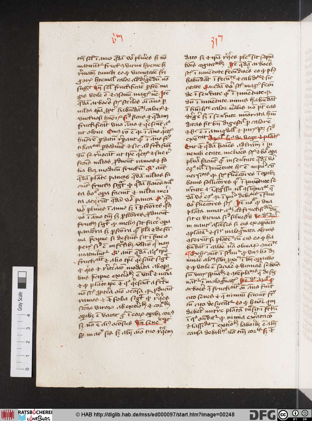 http://diglib.hab.de/mss/ed000097/00248.jpg