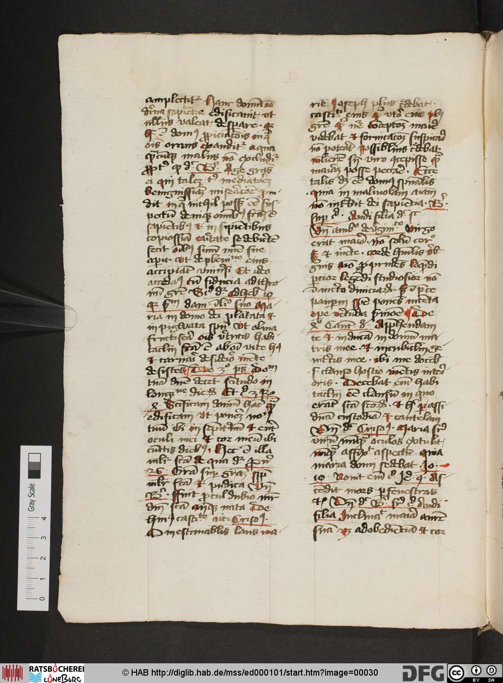 http://diglib.hab.de/mss/ed000101/00030.jpg