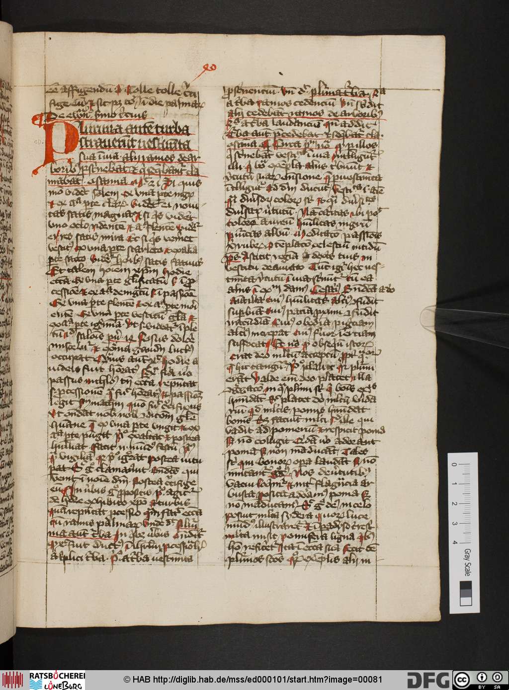 http://diglib.hab.de/mss/ed000101/00081.jpg