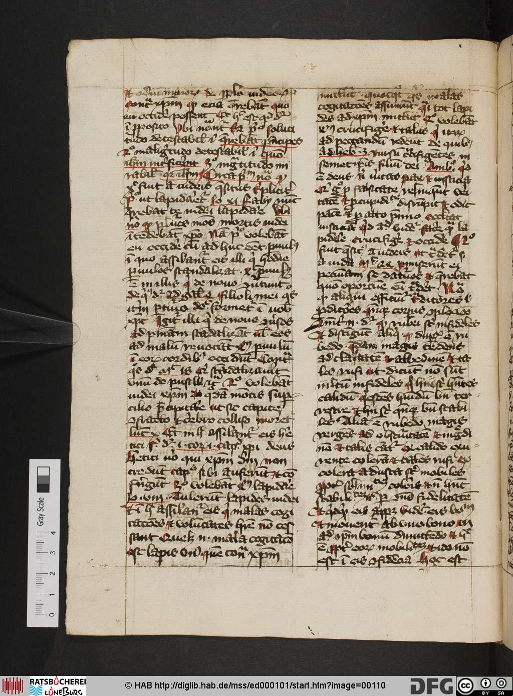 http://diglib.hab.de/mss/ed000101/00110.jpg