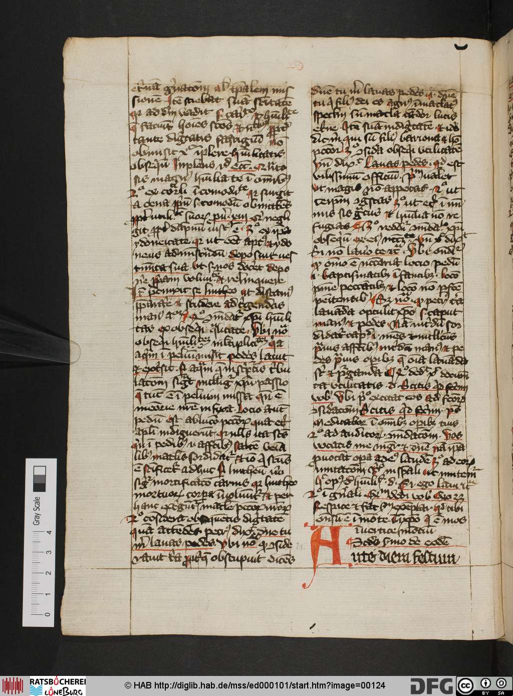 http://diglib.hab.de/mss/ed000101/00124.jpg