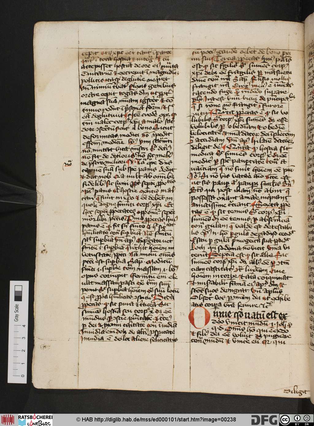 http://diglib.hab.de/mss/ed000101/00238.jpg