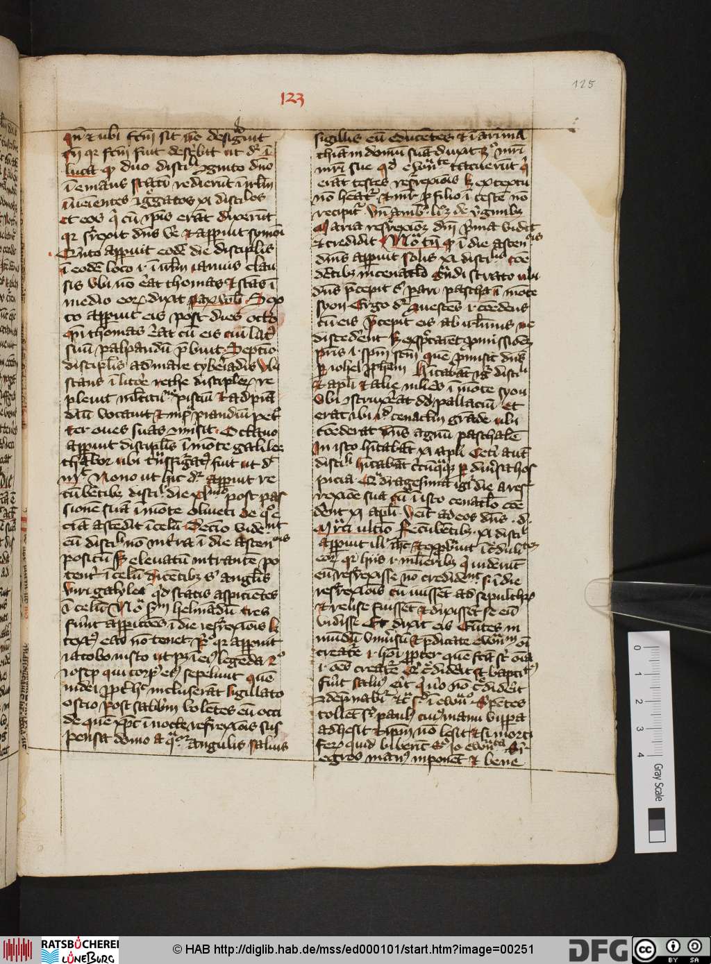 http://diglib.hab.de/mss/ed000101/00251.jpg