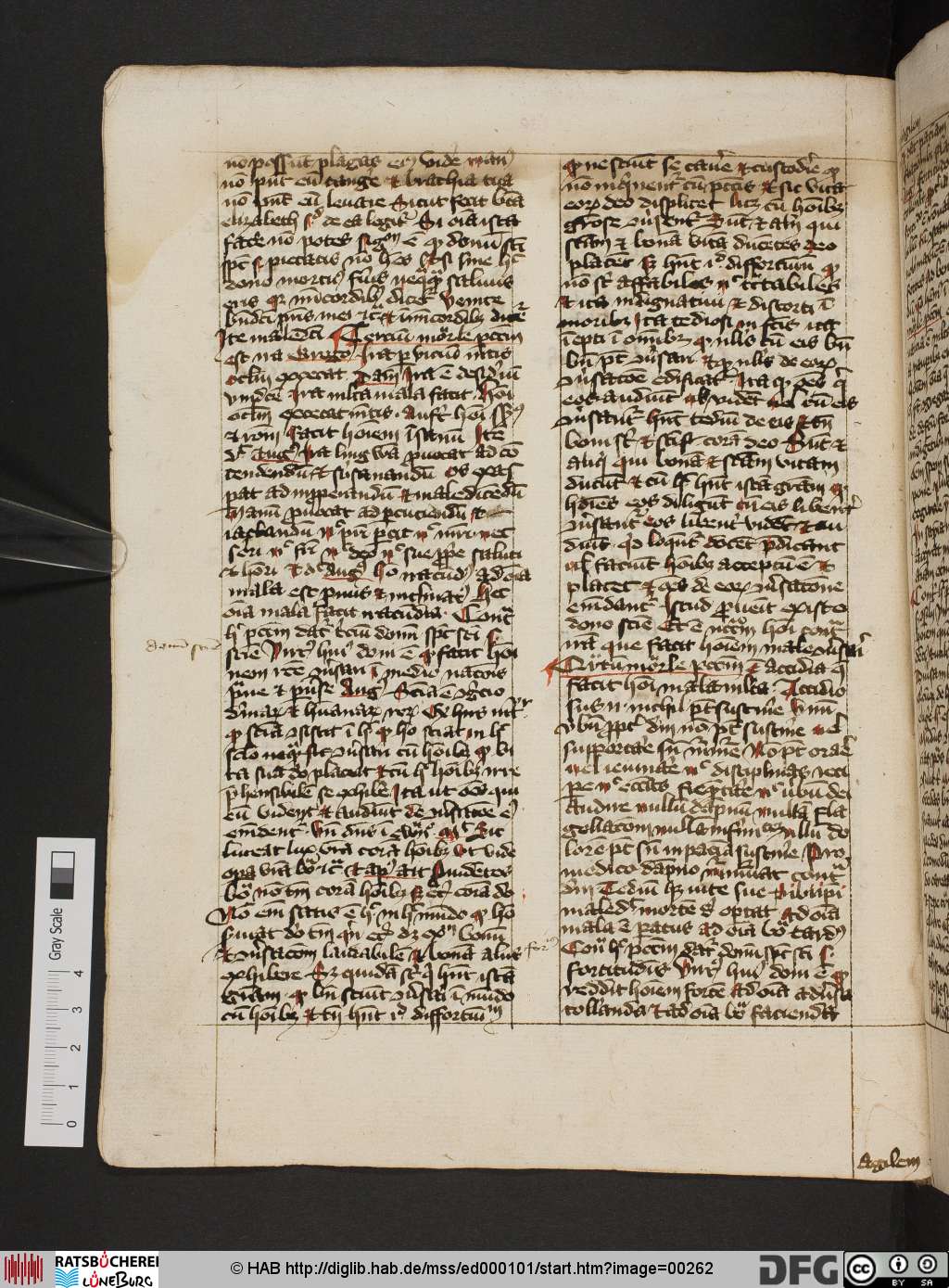 http://diglib.hab.de/mss/ed000101/00262.jpg