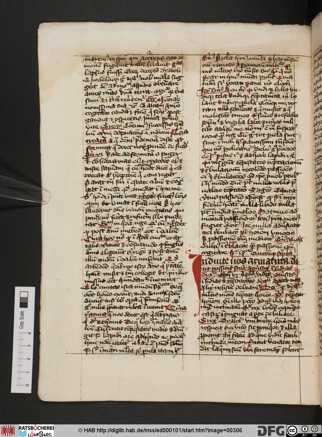 http://diglib.hab.de/mss/ed000101/00306.jpg