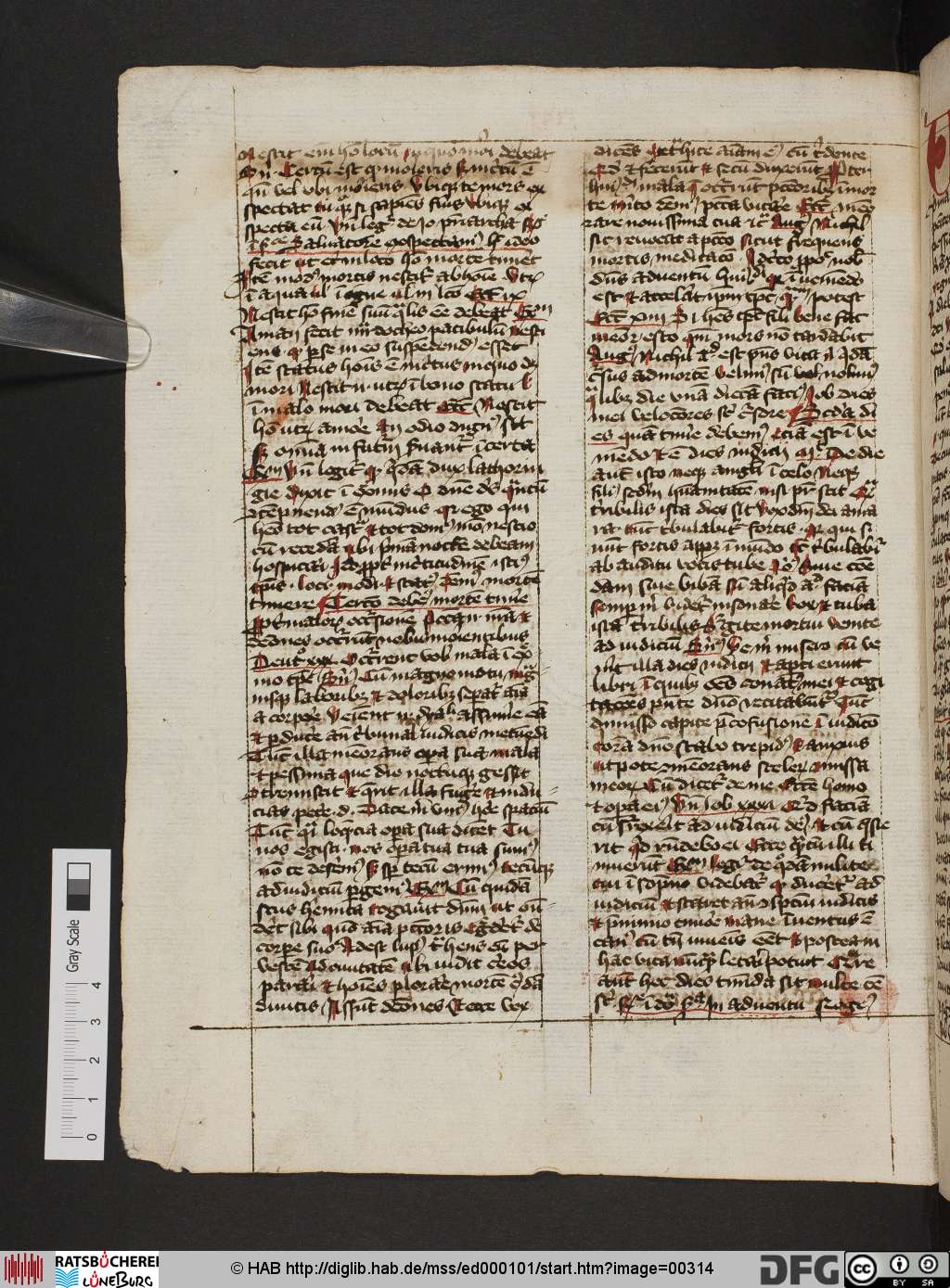 http://diglib.hab.de/mss/ed000101/00314.jpg