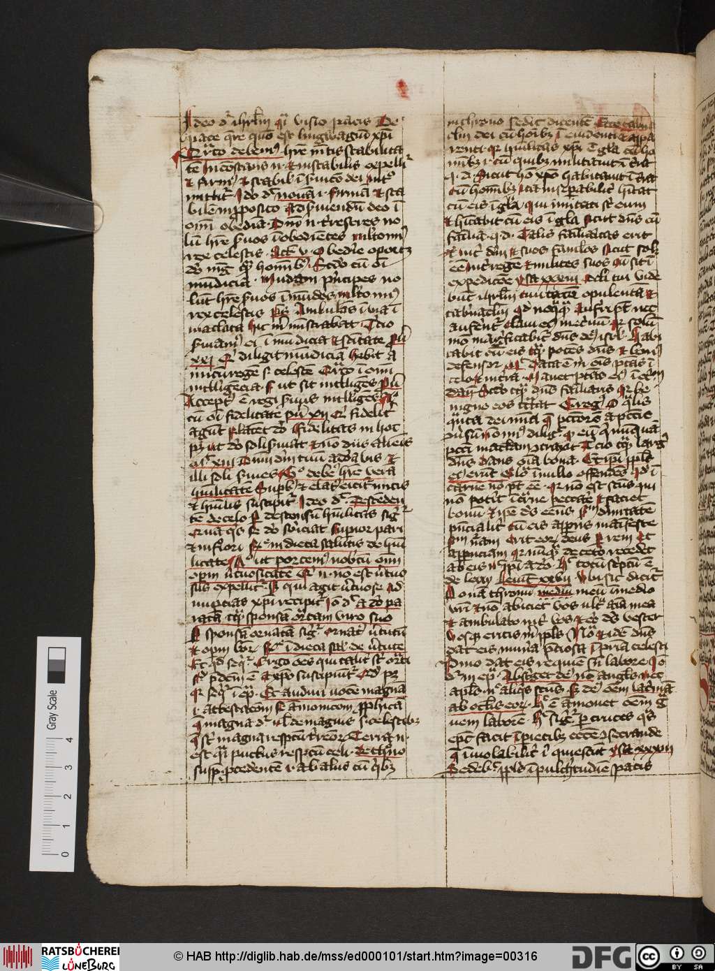 http://diglib.hab.de/mss/ed000101/00316.jpg