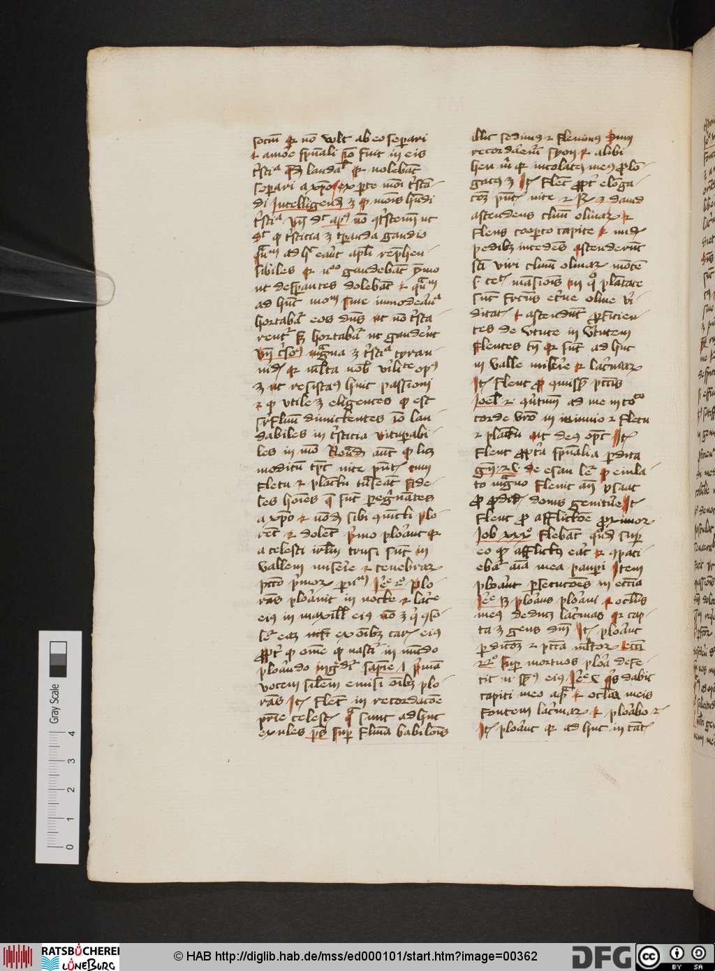 http://diglib.hab.de/mss/ed000101/00362.jpg