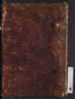 Theol. 2° 82 — Biblia figurata — Guilelmus Peraldus et alii — Benediktinerkloster St. Michael — um 1400