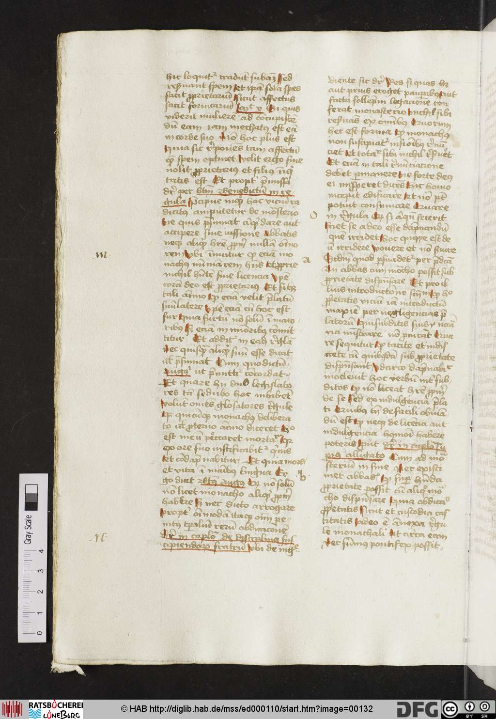 http://diglib.hab.de/mss/ed000110/00132.jpg